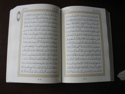 Custom 4GB memory Mp3, repeat, record Digital Quran Pen Reader (OEM and ODM)