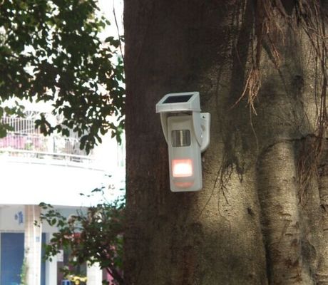 Outdoor Solar Spot-alarm Detector For Fire Fighting In  Forest