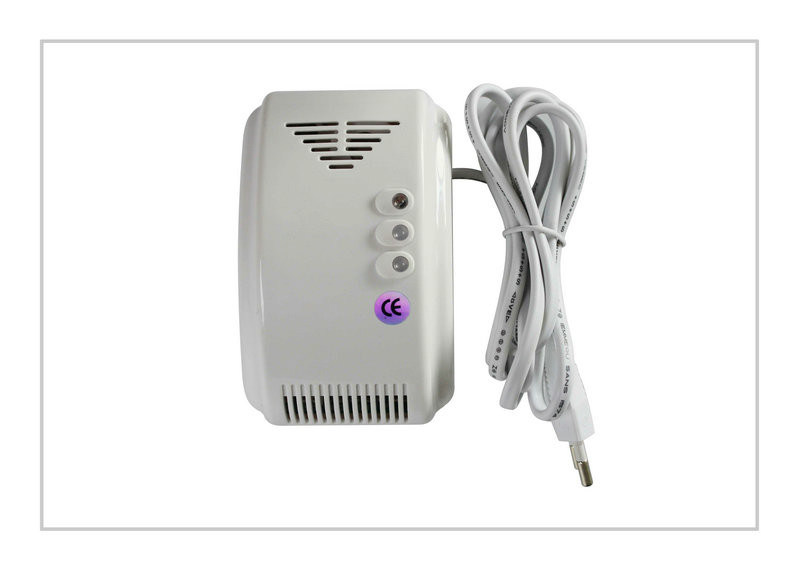 Natürliches/Kohlen-Gas-Kohlenmonoxid-und Gas-Detektor für Landhäuser, Hotels/Märkte